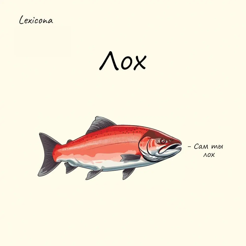 Лох 🐟
«Лохом», согласно словарю Даля, на севере России называли лосося, который, поднявшись вверх по течению и выметав икру, становится в омут, чтобы «переболеть» — в это время мясо меняет цвет, и рыб... | Сетка — социальная сеть от hh.ru