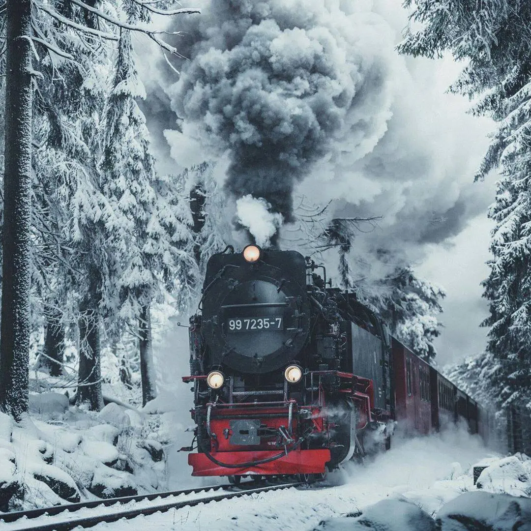 ✨ «Федеральная пассажирская компания» объявляет о старте продаж билетов на турпоезд «Зимняя сказка» для жителей Юга России | Сетка — социальная сеть от hh.ru