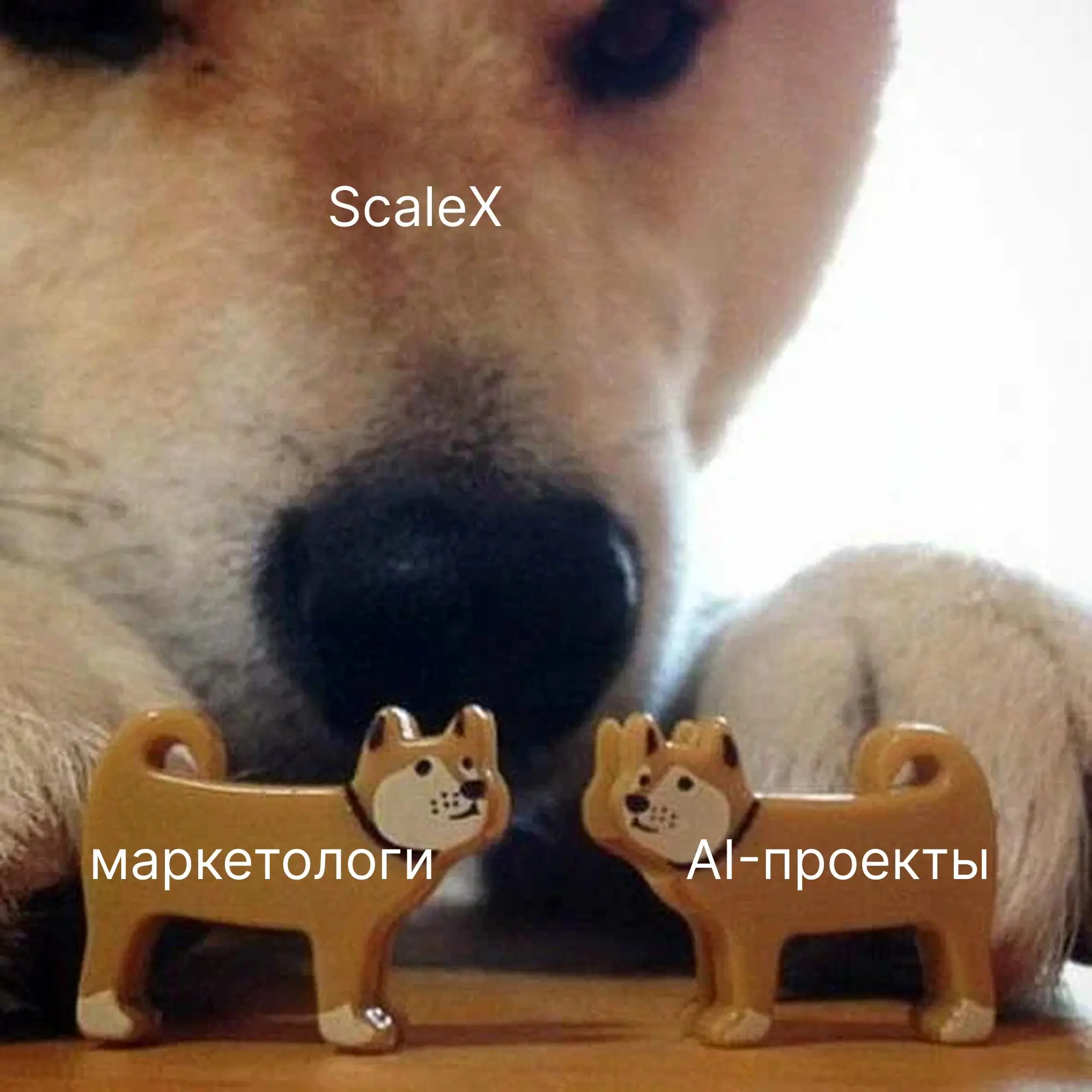 Возьму в режиме реалити 8 маркетологов и доведу до результата
Каждый кто будет участвовать сможет освоить бесконечный бюджет на трафик и команду по нашему методу
Мой результат уже 700 млн выручки для ... | Сетка — социальная сеть от hh.ru