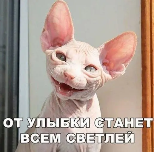 СРЕДА
Улыбнулись? 😂
Подсказка Вселенной в сторис | Сетка — социальная сеть от hh.ru