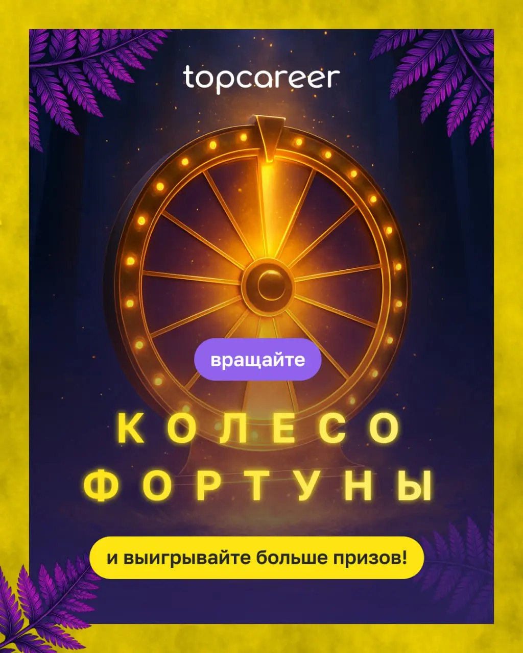 Чёрная пятница набирает обороты, курсы уходят как горячие пирожки | Сетка — социальная сеть от hh.ru