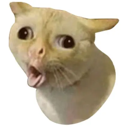 comment image