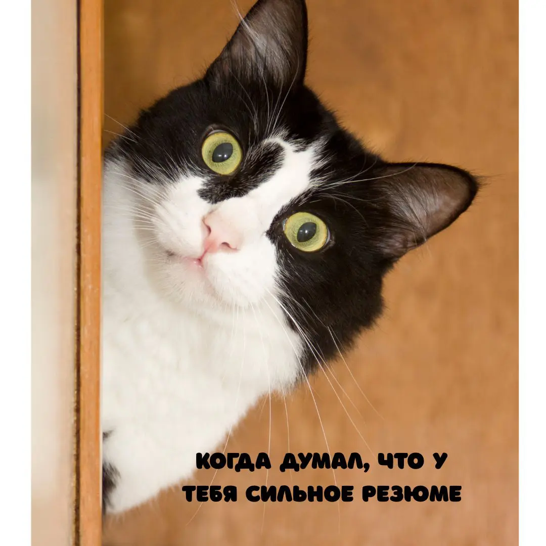Проверка резюме под ATS | Сетка — социальная сеть от hh.ru