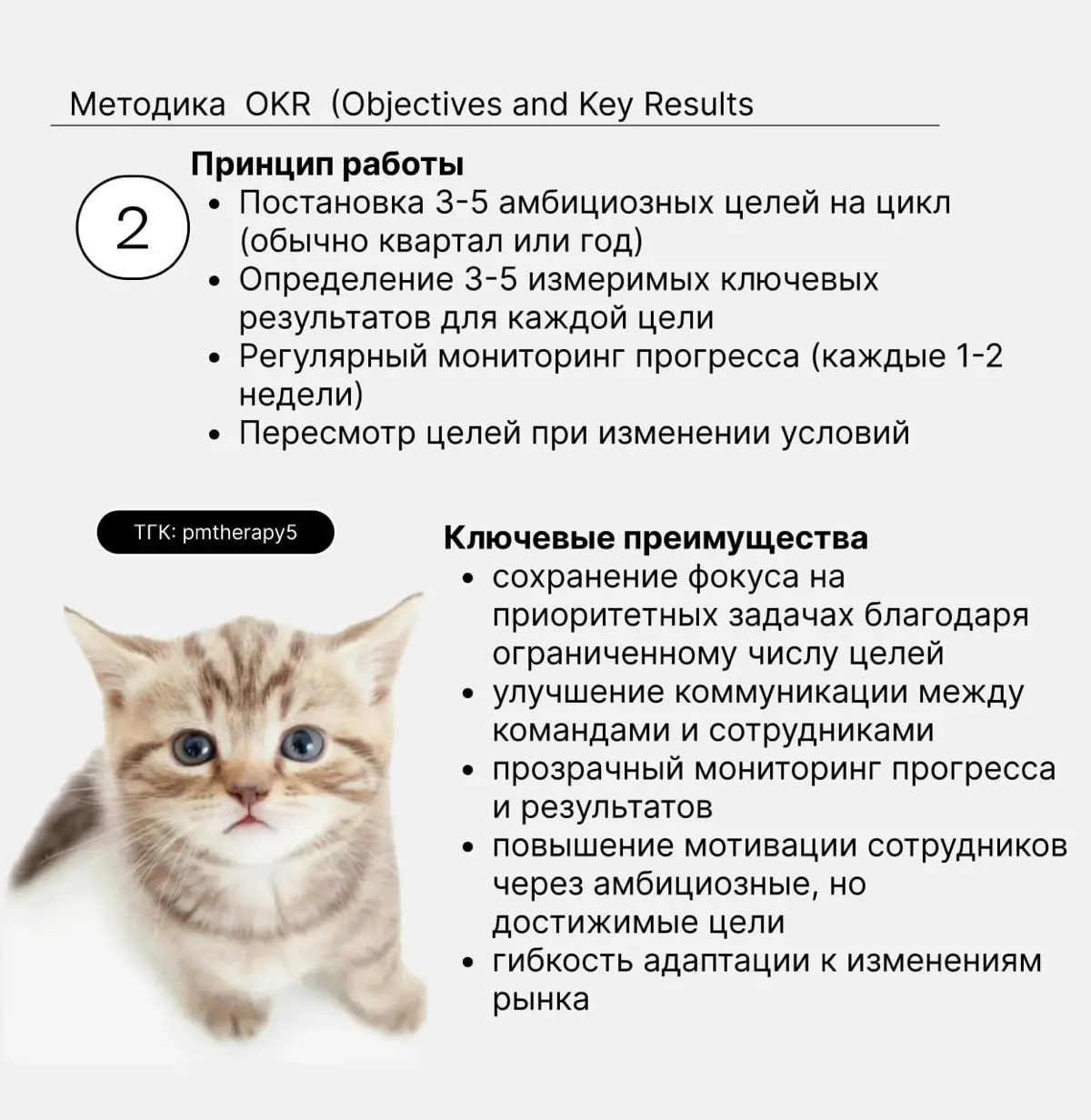 Инструменты PM. Часть 1 | Сетка — социальная сеть от hh.ru