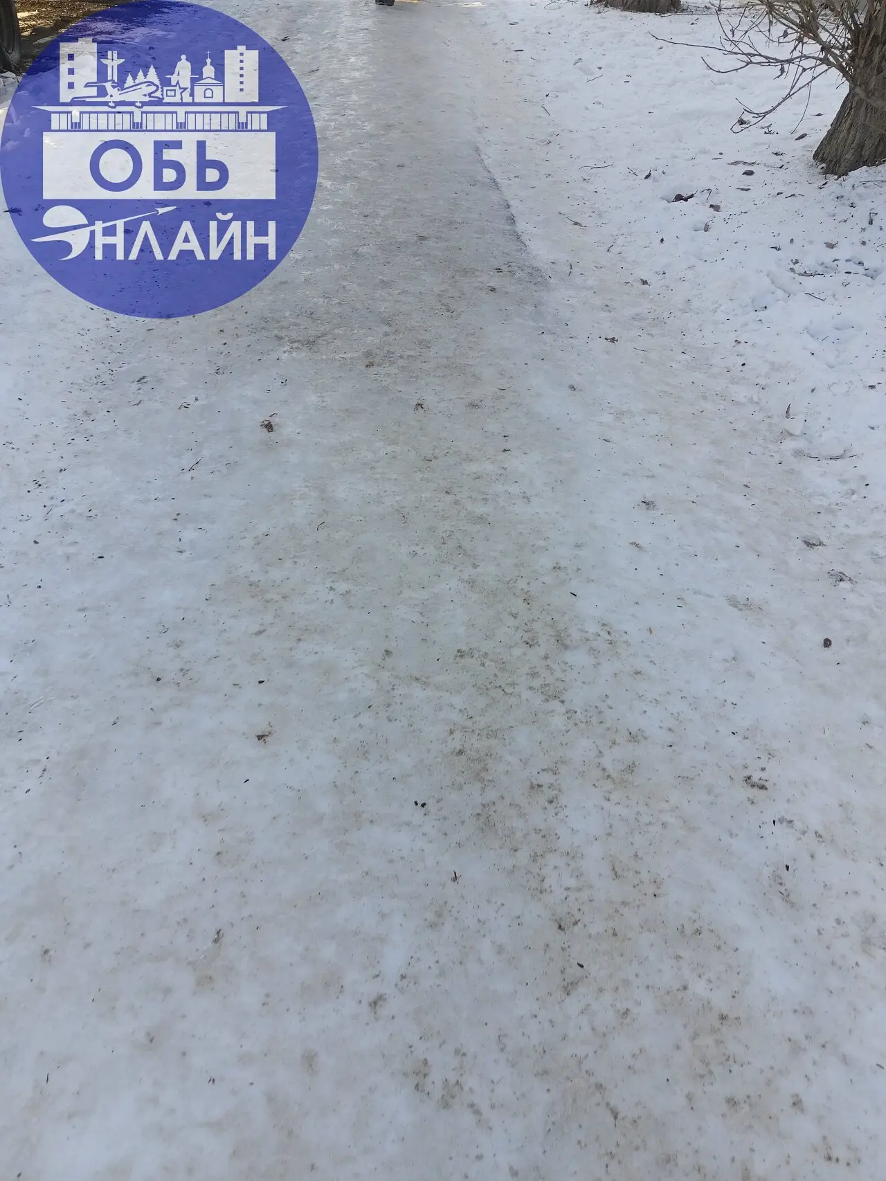↗ Администрация города Оби просим провести уборку тротуара на улице Шевченко. Около школы каток вместо тротуара. Мы старшеклассники сегодня помогали младшим школьникам добираться в школу | Сетка — социальная сеть от hh.ru