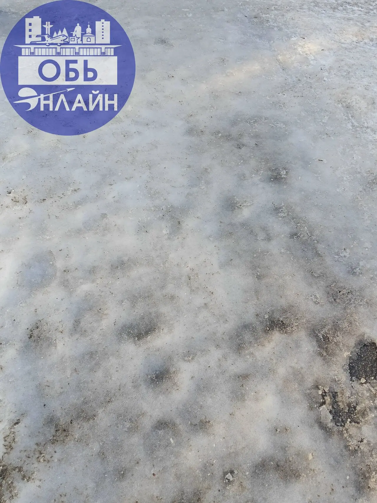 ↗ Администрация города Оби просим провести уборку тротуара на улице Шевченко. Около школы каток вместо тротуара. Мы старшеклассники сегодня помогали младшим школьникам добираться в школу | Сетка — социальная сеть от hh.ru