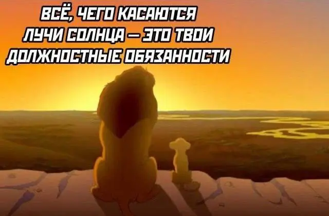 3 мифа о профессии фулстек-аналитика😳 | Сетка — социальная сеть от hh.ru