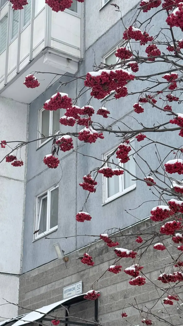 Новые локации -новые художники
Возможно новое место работы
❣️🆒
Морозно однако в Петербурге
Надо доставать зимнее и кутаться, но я так хочу элегантно ходить в пальто . | Сетка — социальная сеть от hh.ru