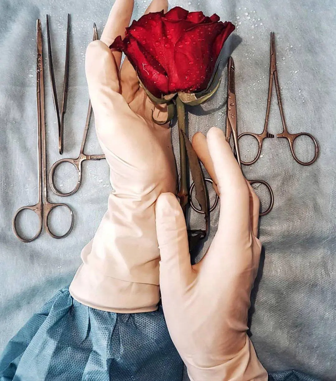 ❤️‍🔥Если вы следите за медициной, обучаетесь в медицинском ВУЗе или работаете врачом, то данный пост будет вам интересен
В данной папке собраныинтересные каналы посвященные медицине🩺
Забирай эту папку... | Сетка — социальная сеть от hh.ru