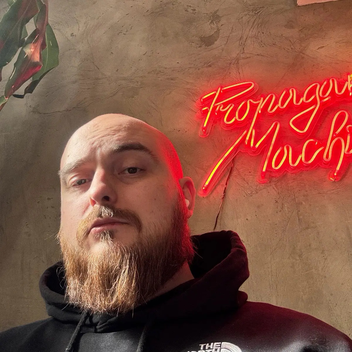 Артем Гиттин | Сетка — социальная сеть от hh.ru