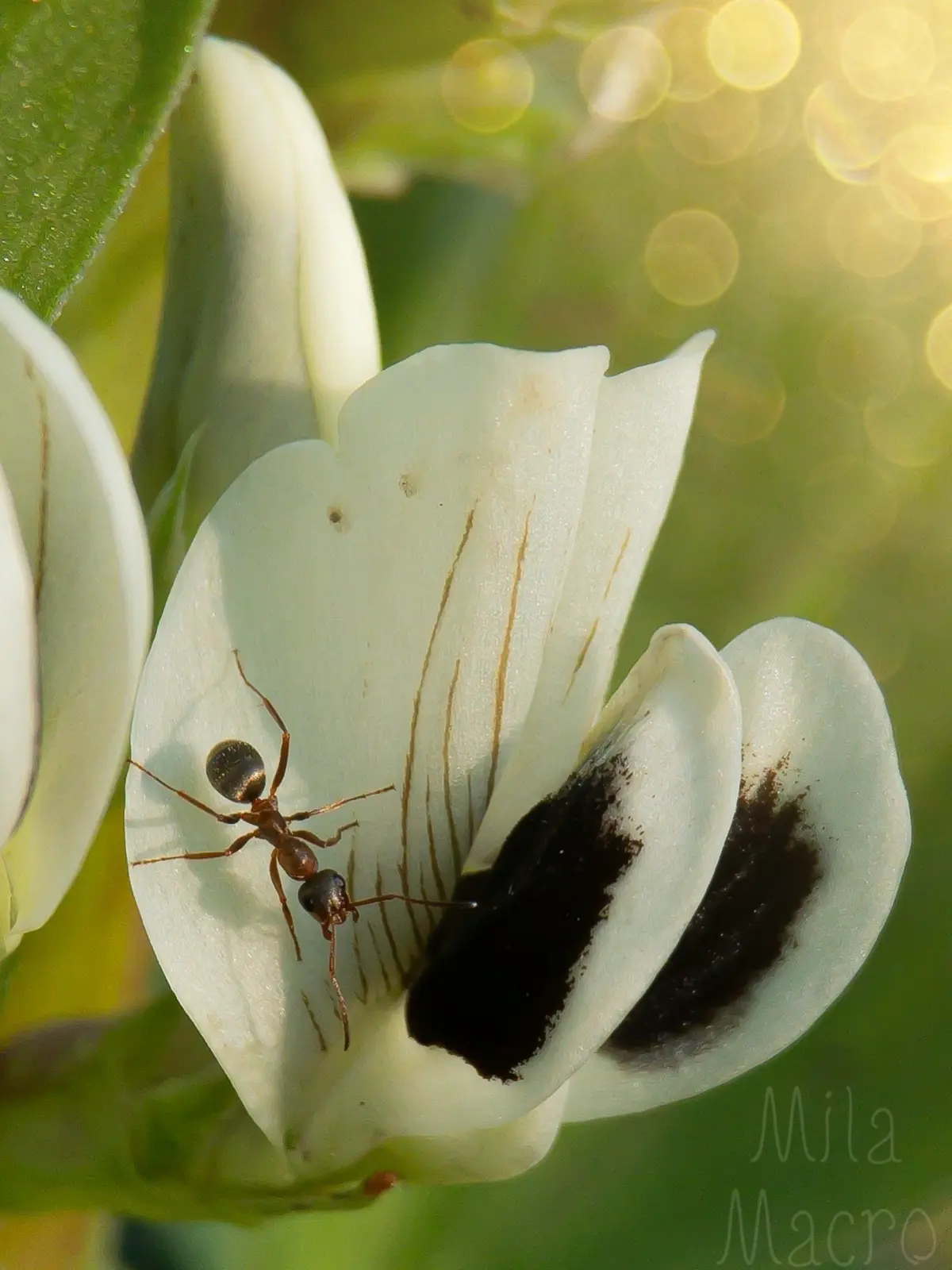 Четверг: | Сетка — социальная сеть от hh.ru