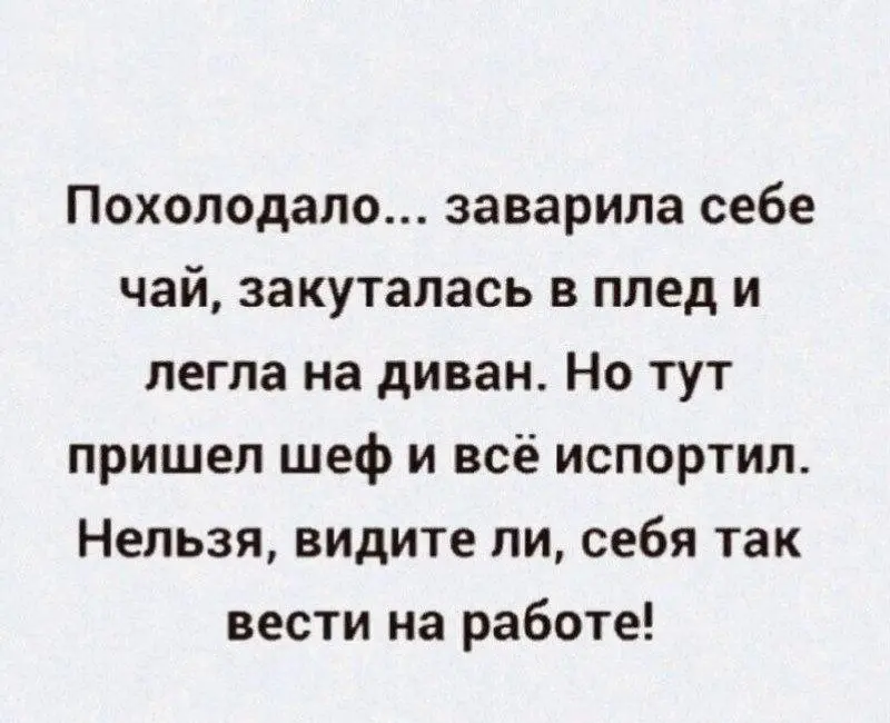 Никакого понимания 😂
#Юмор@poldner | Сетка — социальная сеть от hh.ru