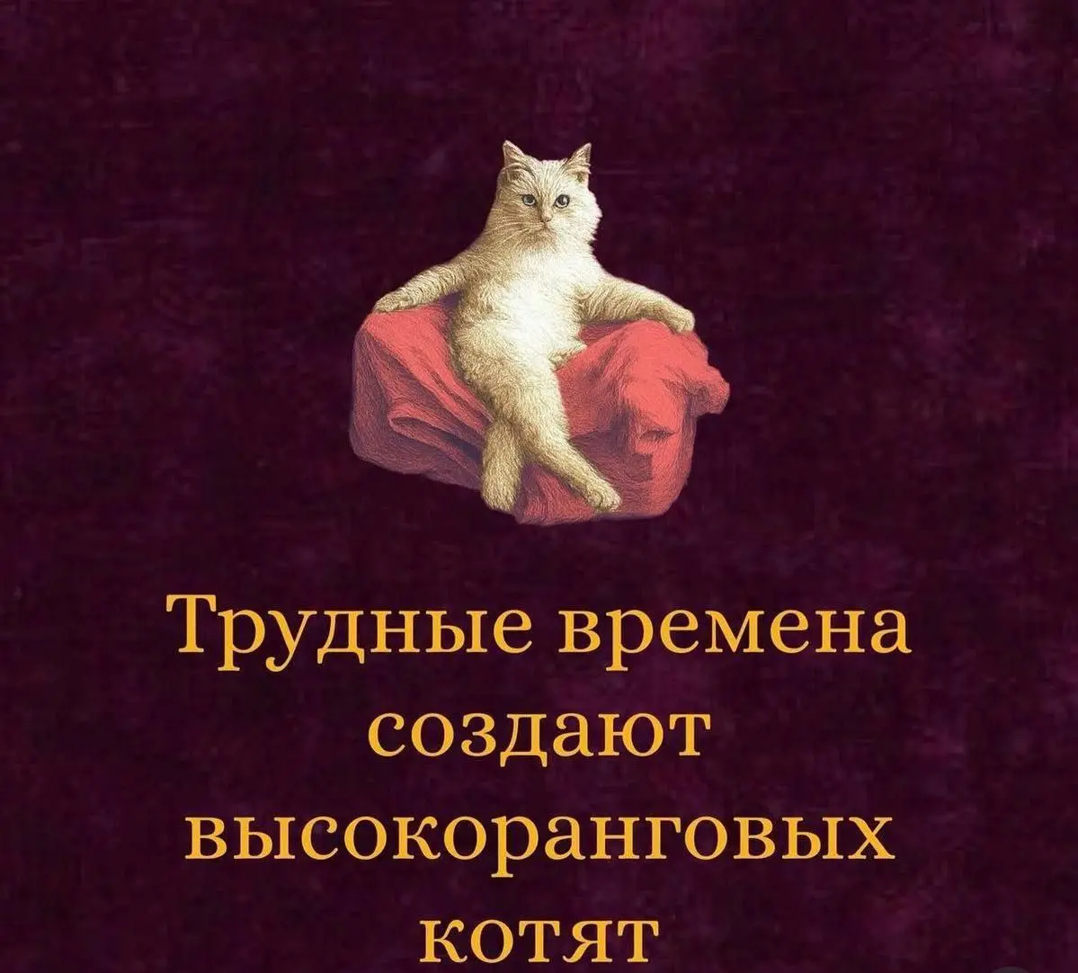 Вот она, истина 😂
#Юмор@poldner #Коты@poldner | Сетка — социальная сеть от hh.ru