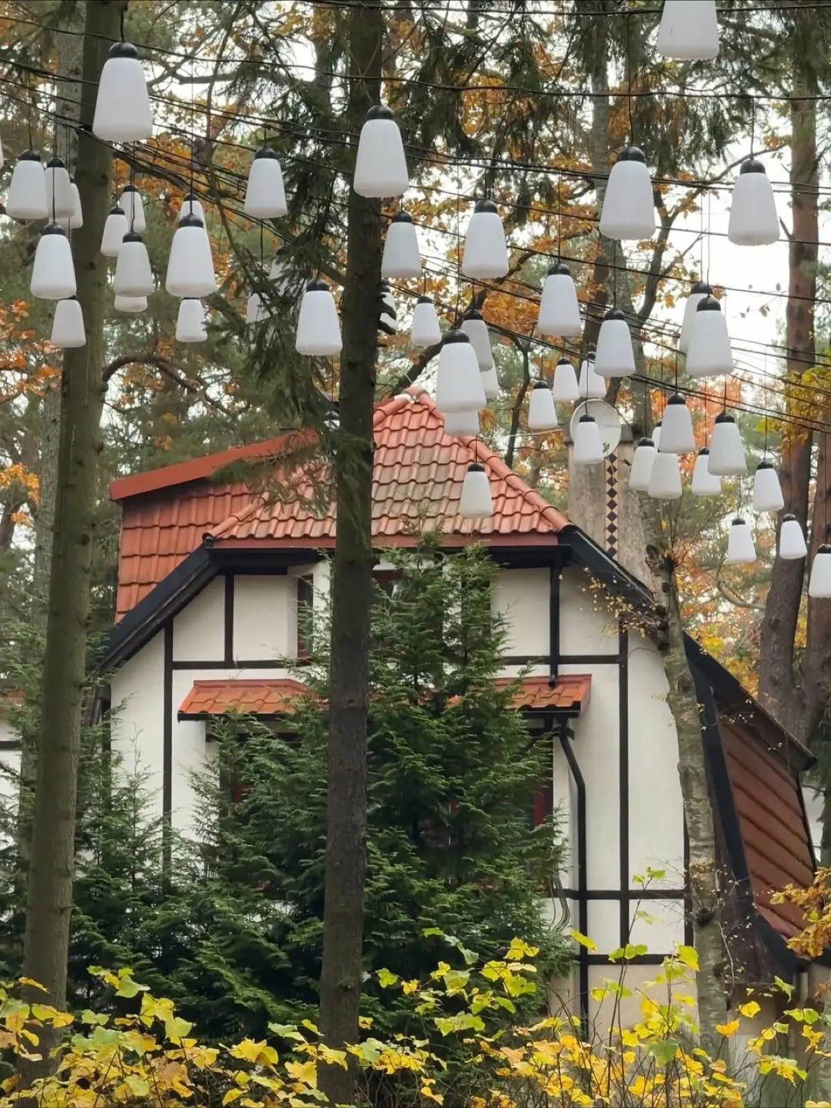 Калининград, который вдохновляет! 🌊 | Сетка — социальная сеть от hh.ru