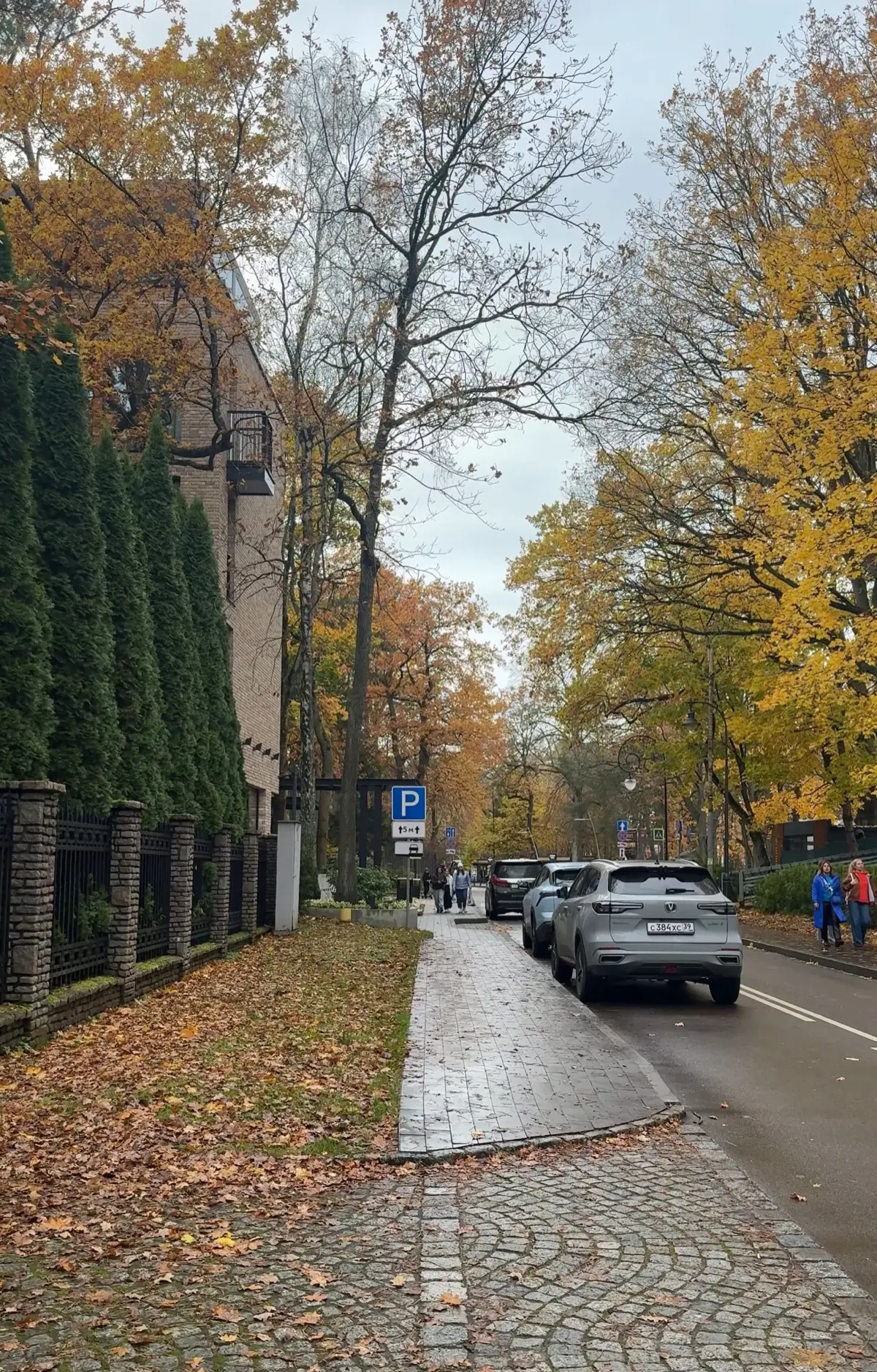 Калининград, который вдохновляет! 🌊 | Сетка — социальная сеть от hh.ru