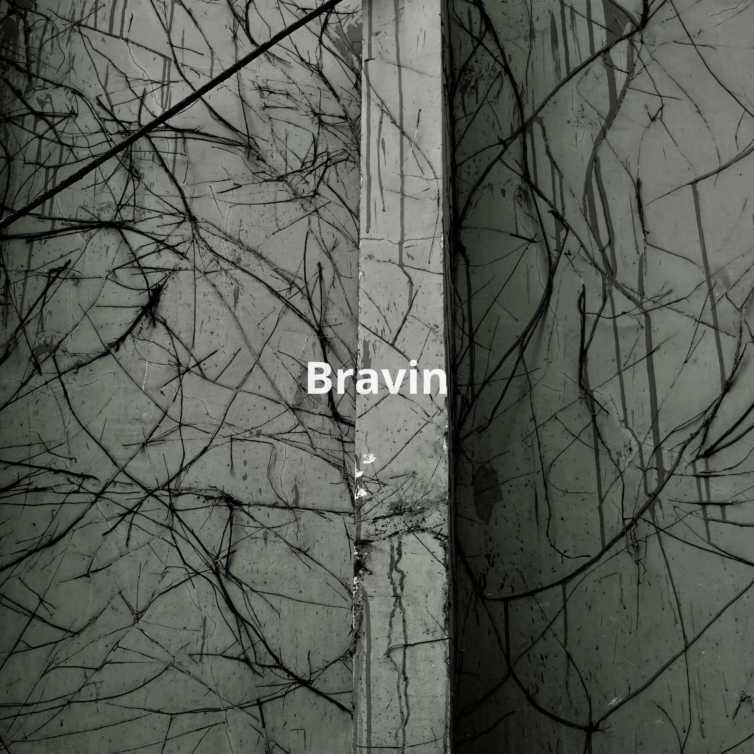 🌟 Bravin — умные рабочие процессы для бизнеса с AI! 🌟
Bravin — это платформа, которая помогает компаниям автоматизировать рутинные процессы и эффективно управлять данными | Сетка — социальная сеть от hh.ru