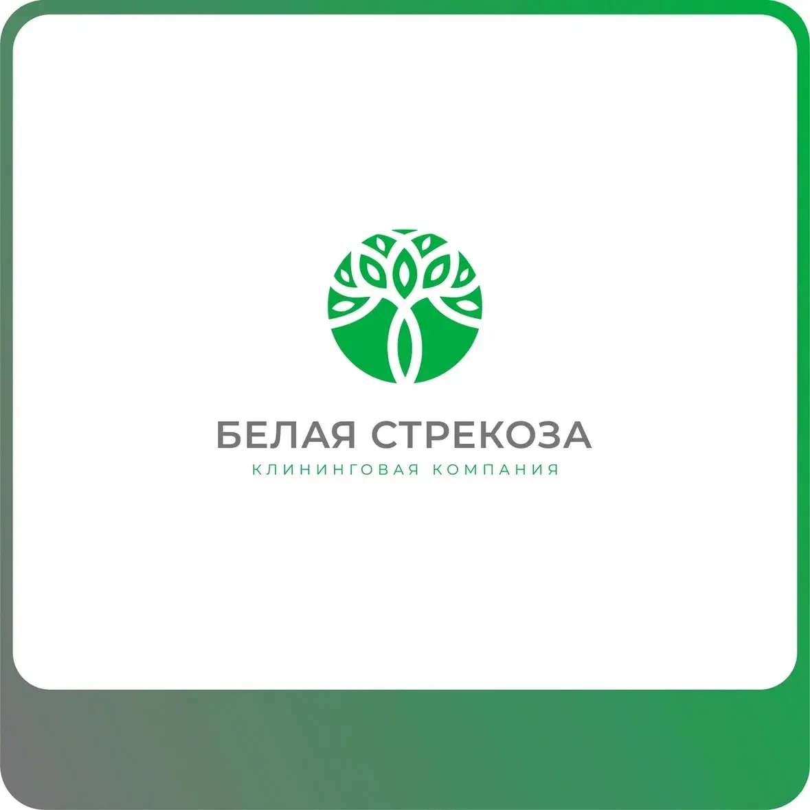 Логотип для компании «БЕЛАЯ СТРЕКОЗА» | Сетка — социальная сеть от hh.ru