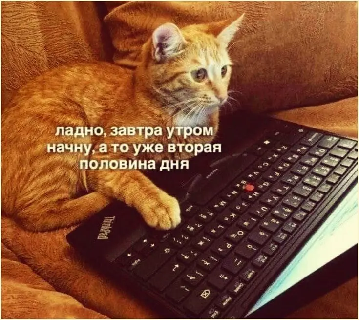 Почему я больше никогда не прокрастинирую на работе | Сетка — социальная сеть от hh.ru