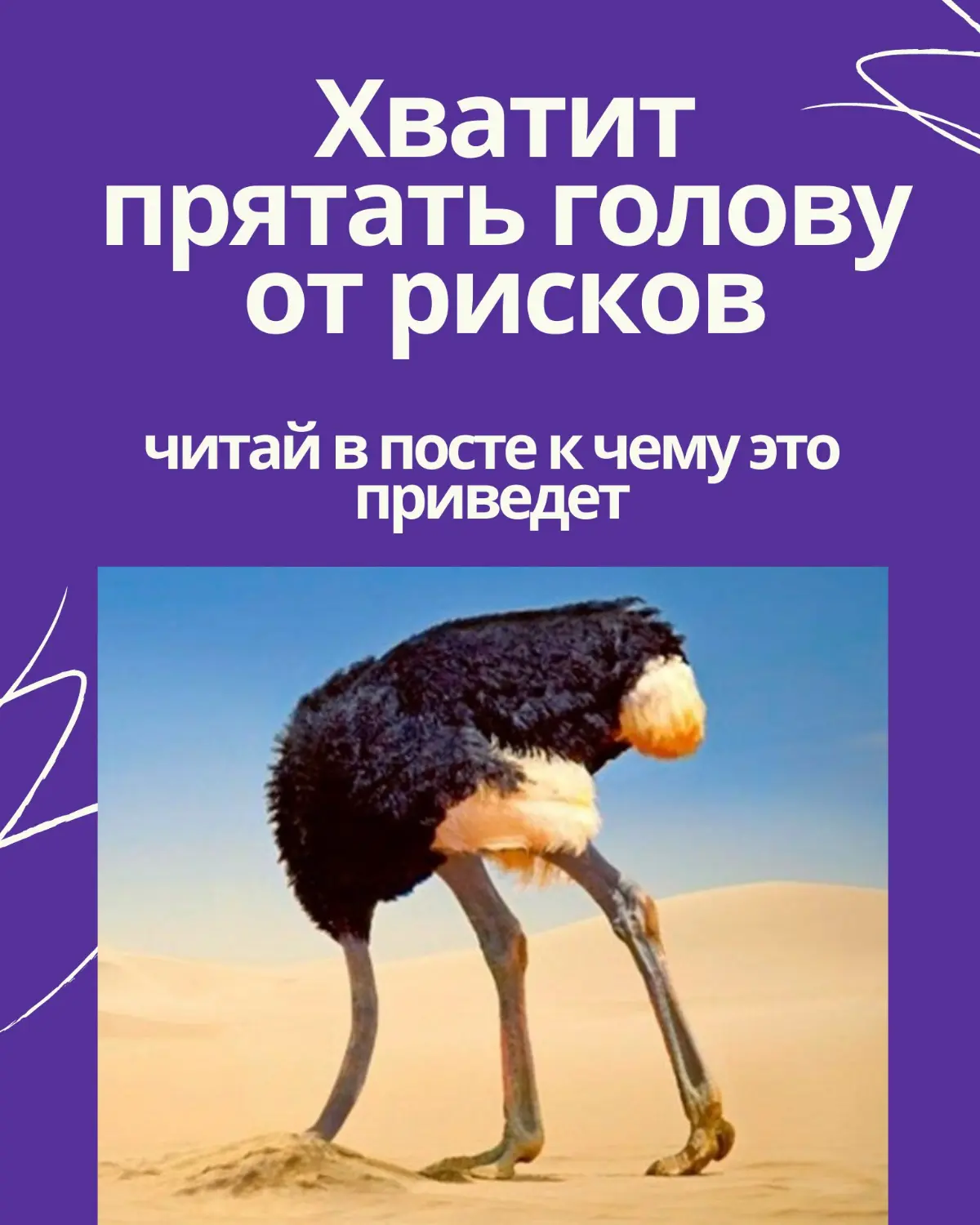 💀Все еще прячете голову в песок перед рисками? | Сетка — социальная сеть от hh.ru