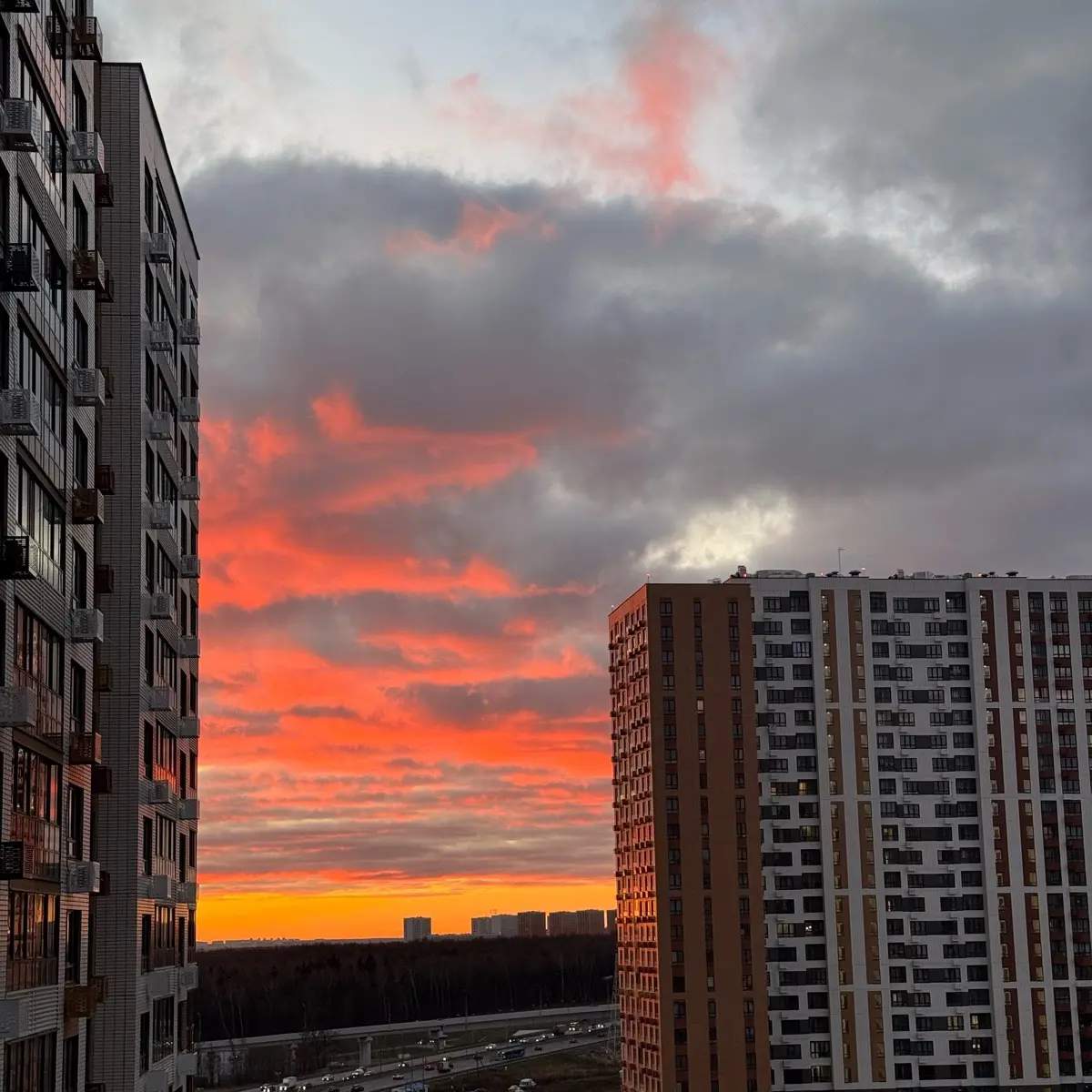 Maria Gorbacheva | Сетка — социальная сеть от hh.ru