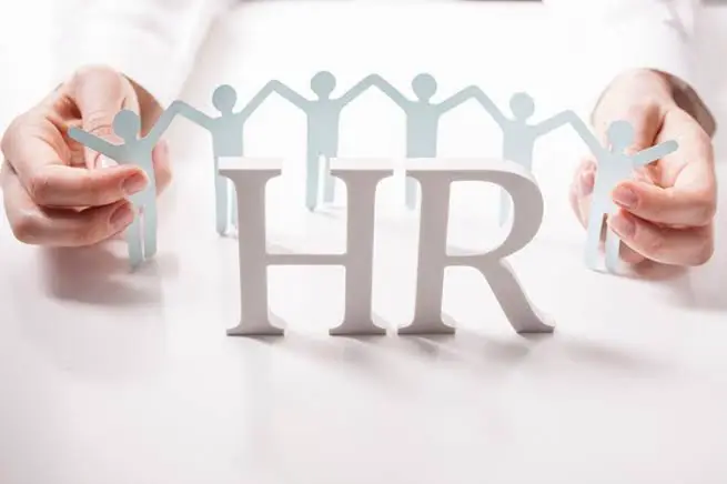 HR по ту сторону. Часть 2 | Сетка — социальная сеть от hh.ru