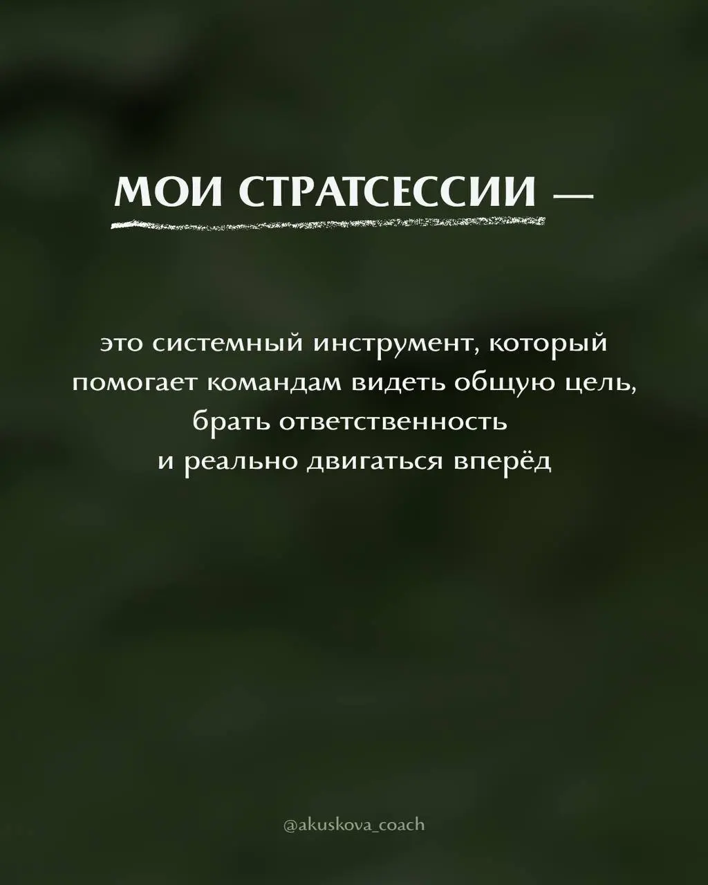 В чем уникальность моих стратсессий для команд?
Более 12 лет я работаю с людьми, персоналом, бизнесами | Сетка — социальная сеть от hh.ru