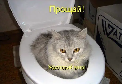 Боль миллениалов: Я уже отстаю, а мир летит вперед | Сетка — социальная сеть от hh.ru