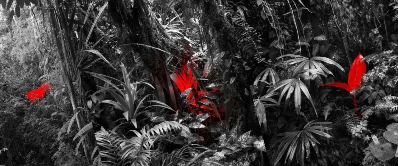 А притом, что мы с вами — тоже своего рода «компании». Мы продаем свой контент, внимание аудитории, рекламу | Сетка — социальная сеть от hh.ru