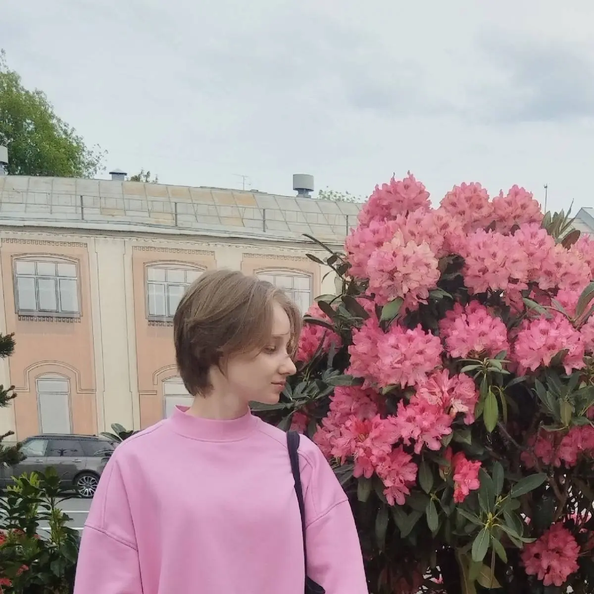 Network member avatar