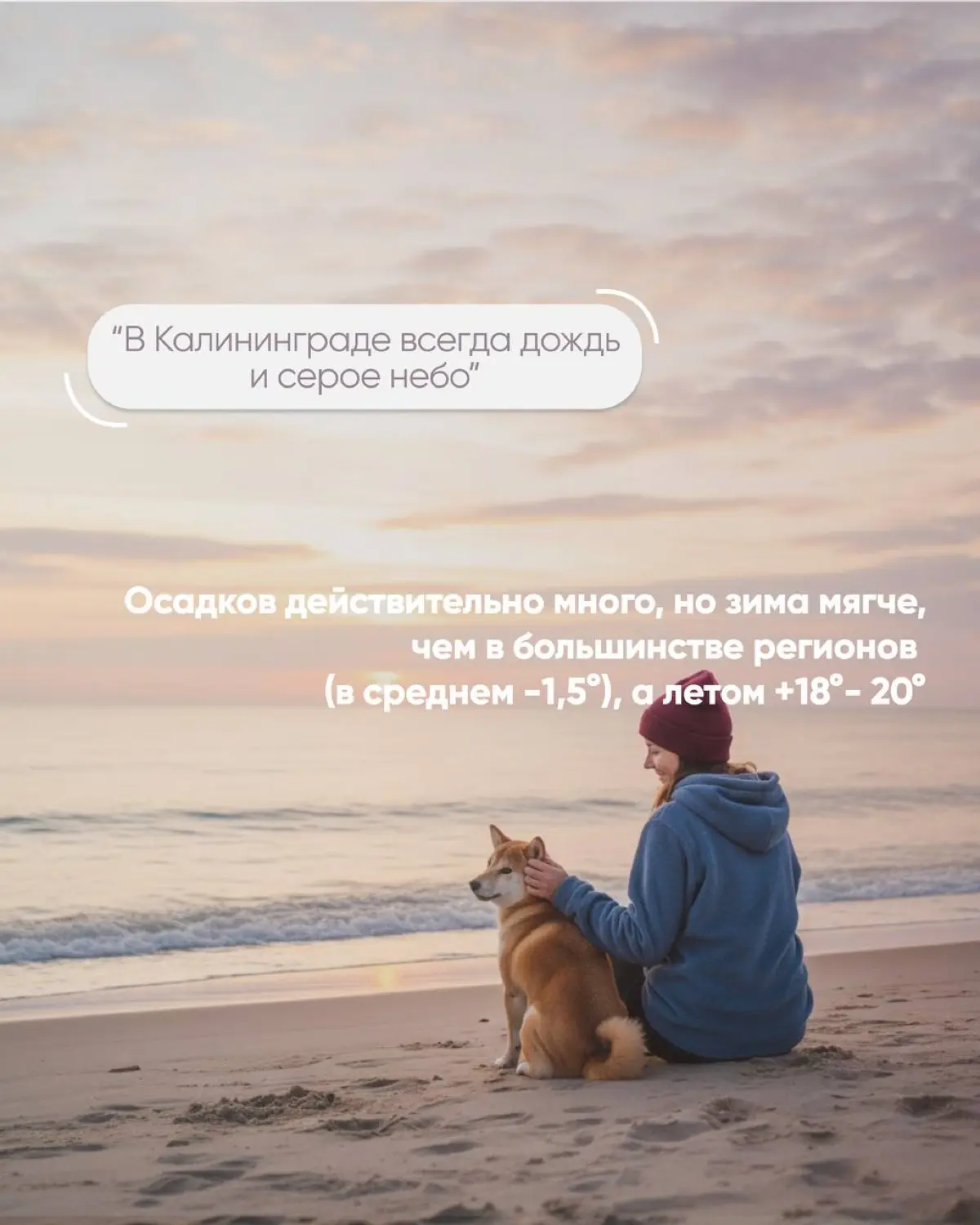 Мифы о Калининграде | Сетка — социальная сеть от hh.ru