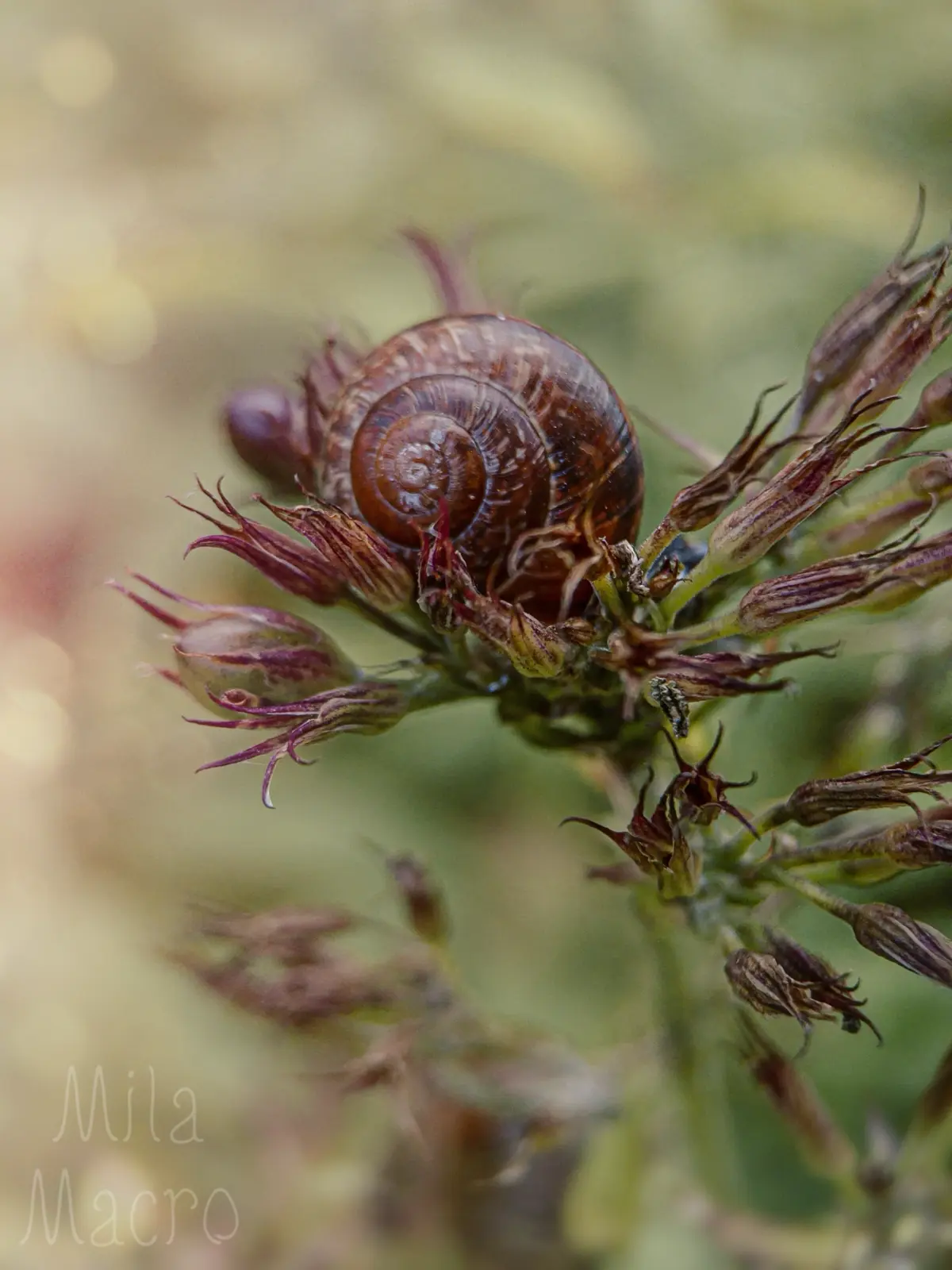 Конец рабочей недели | Сетка — социальная сеть от hh.ru