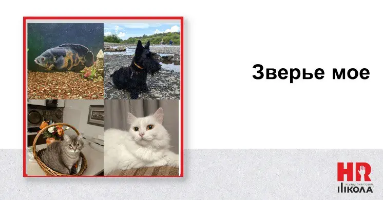 Пост про котиков и песиков
.
❤️А давайте-ка замахнемся на вечное и поговорим о братьях наших меньших. Хотели про личное ну и поехали.
#ПрямаяречьТФ | Сетка — социальная сеть от hh.ru