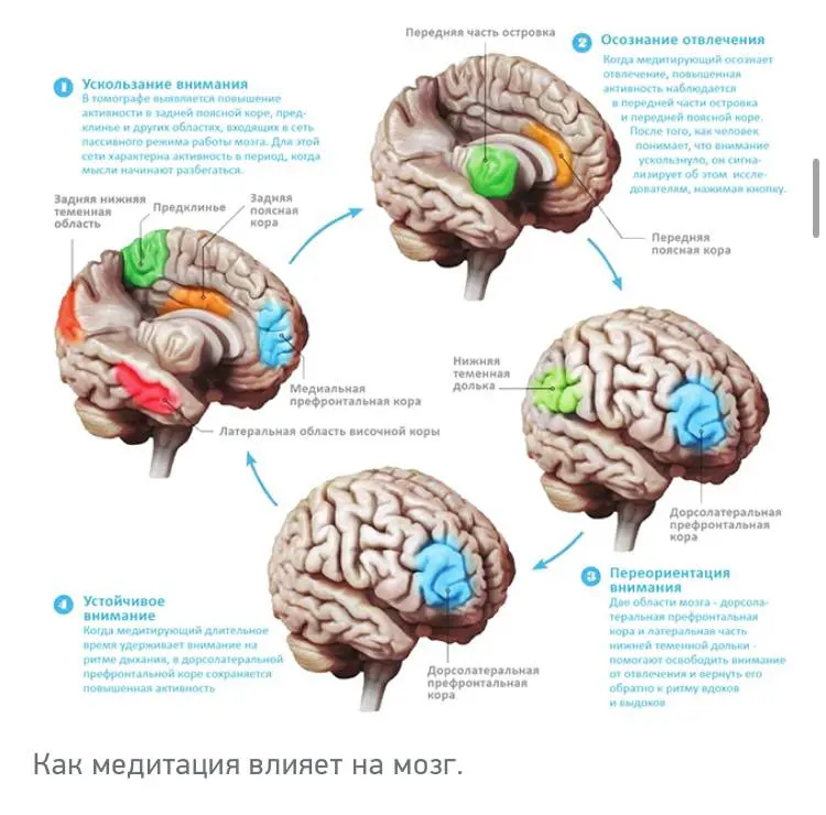 🍒Аффирмации, которые стоит не просто повторять, а проживать, отслеживая возникающие сопротивления:
1 | Сетка — социальная сеть от hh.ru