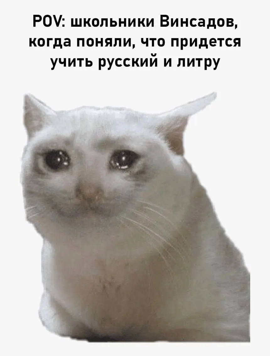 Школьники не обольщайтесь! Урокам русского языка и литературы быть
На прямой линии губернатора Владимира Владимирова, которая прошла в ЦУРе, поступил вопрос о нехватке учителей русского языка и литера... | Сетка — социальная сеть от hh.ru