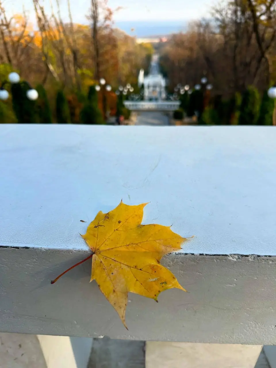 Краски осени в Железноводске 🍂
📸 @Natalyaphoto26stav | Сетка — социальная сеть от hh.ru