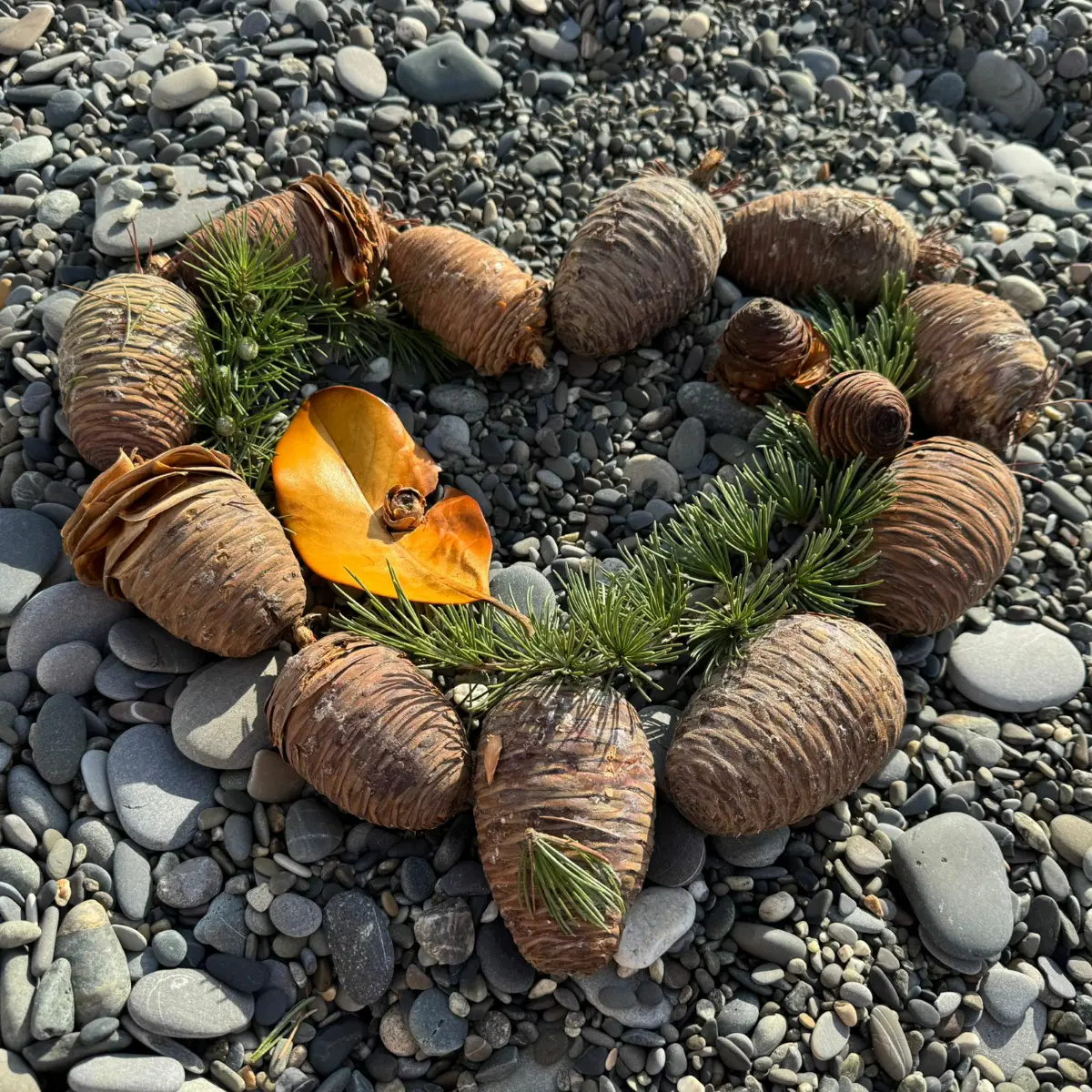 К чему готовит нас жизнь, наполняя мир ИИ и роботами | Сетка — социальная сеть от hh.ru