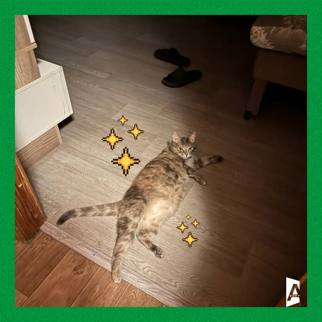 🐾 #Зверопятница
Занимательный факт: чем дольше вы смотрите в глаза своей собаке или кошке, тем больше в вашем мозгу вырабатывается окситоцин — гормон привязанности и доверия | Сетка — социальная сеть от hh.ru