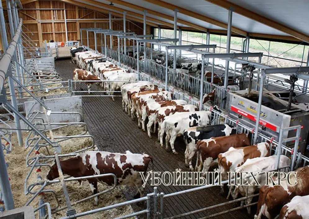 💎Интересное предложение для Вас💎
ПРОДАЖА
БОЙНЯ КРС
д | Сетка — социальная сеть от hh.ru