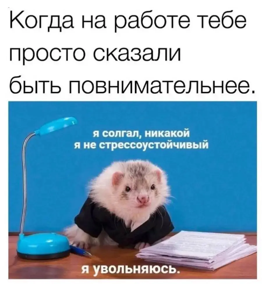 Как выжить в HR с синдромом отличника? 🙃 | Сетка — социальная сеть от hh.ru