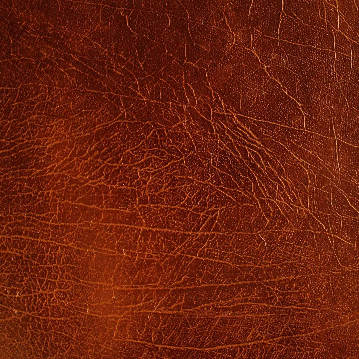 Андрей Майоров | Сетка — социальная сеть от hh.ru