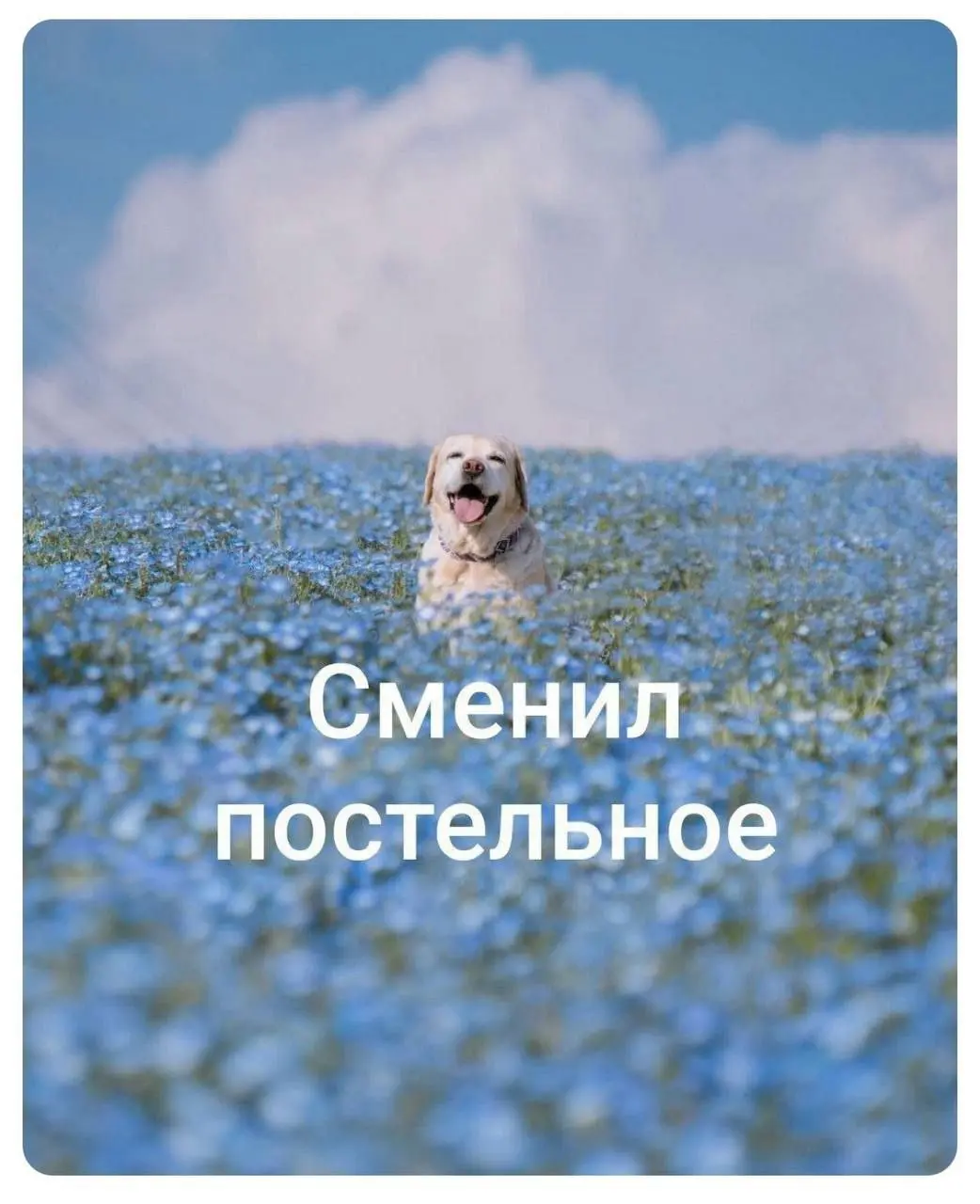 💊Простые радости жизни
Хороших выходных!
И скидывайте мемы в комментариях ⬇️
#чащесмейся | Сетка — социальная сеть от hh.ru