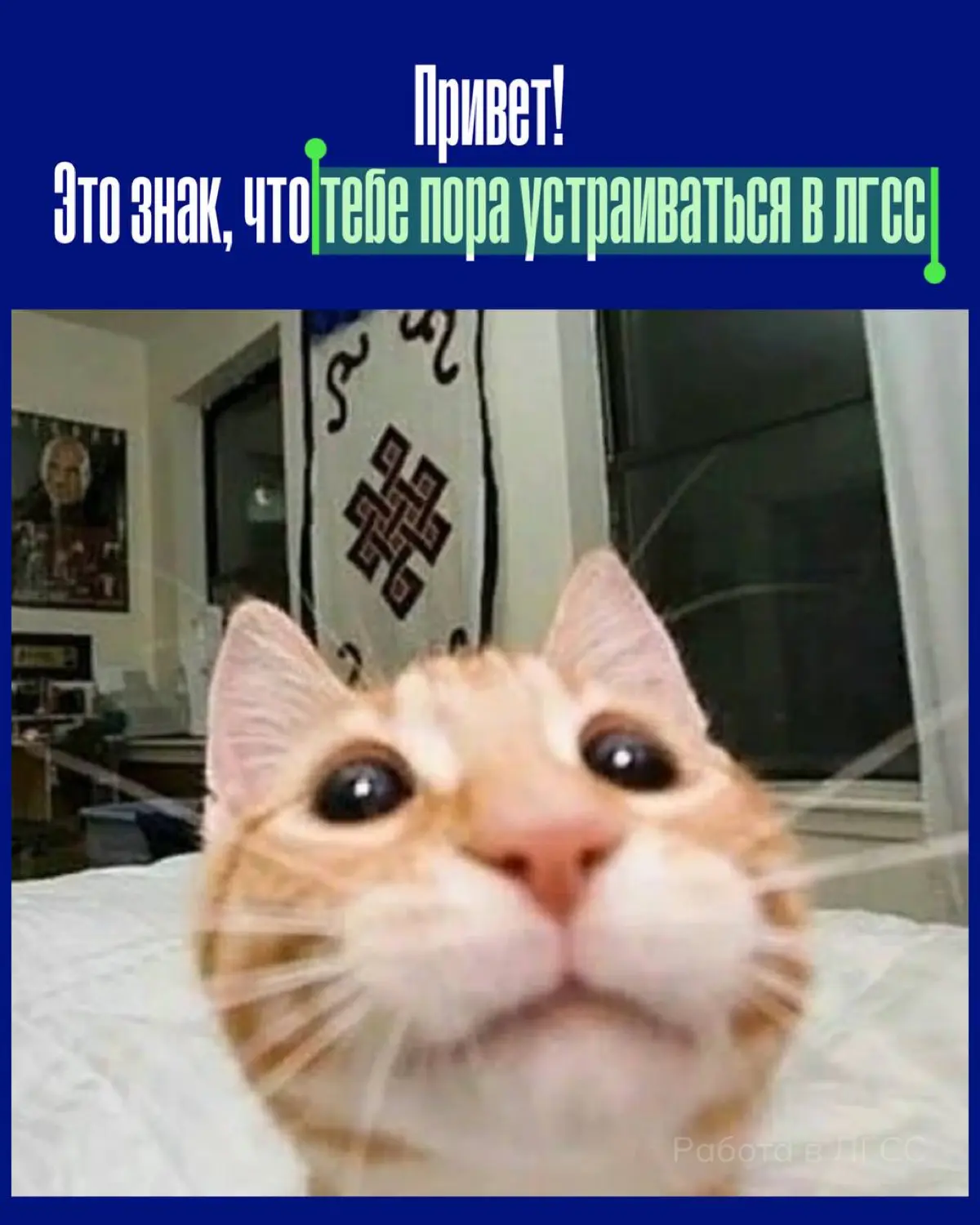 Ты нам подходишь, если: | Сетка — социальная сеть от hh.ru