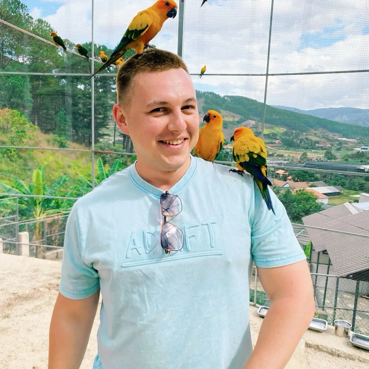 Network member avatar