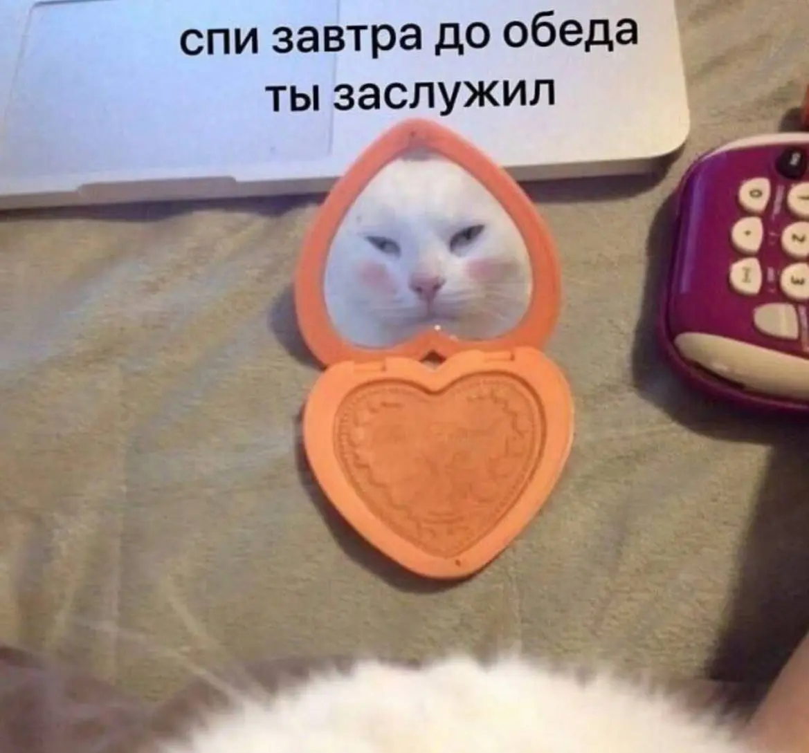 День 82
🔤 дочитала еще одну книжку
🔤 делала айтишные заметки
🔤 писала текст и радовалась этому своему навыку
🔤 занималась спортом
🔤 шутила | Сетка — социальная сеть от hh.ru