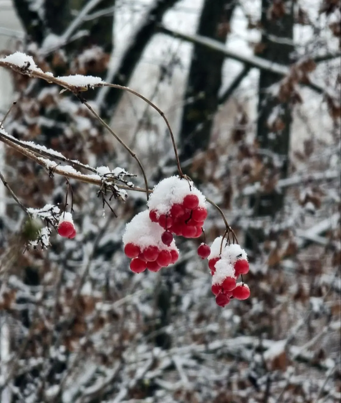 #беседкахохрякова для меня стала местом регулярной рефлексии прошедшей недели. Достаточно часа тишины, созерцания и природы, чтобы сделать какие-то выводы | Сетка — социальная сеть от hh.ru