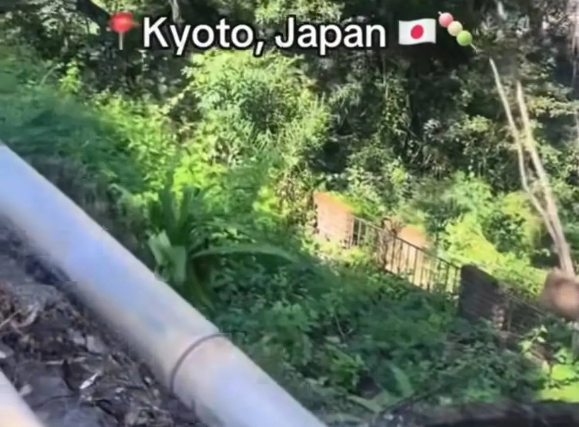 Очень клевый и одновременно пугающий тренд
Его название – «Эффект Японии», и вы точно видели это в интернетах | Сетка — социальная сеть от hh.ru