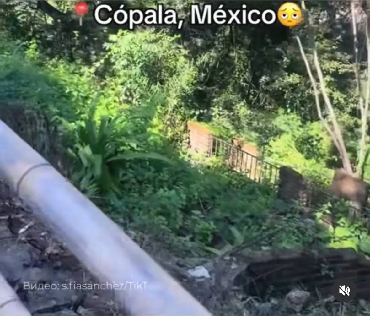 Очень клевый и одновременно пугающий тренд
Его название – «Эффект Японии», и вы точно видели это в интернетах | Сетка — социальная сеть от hh.ru