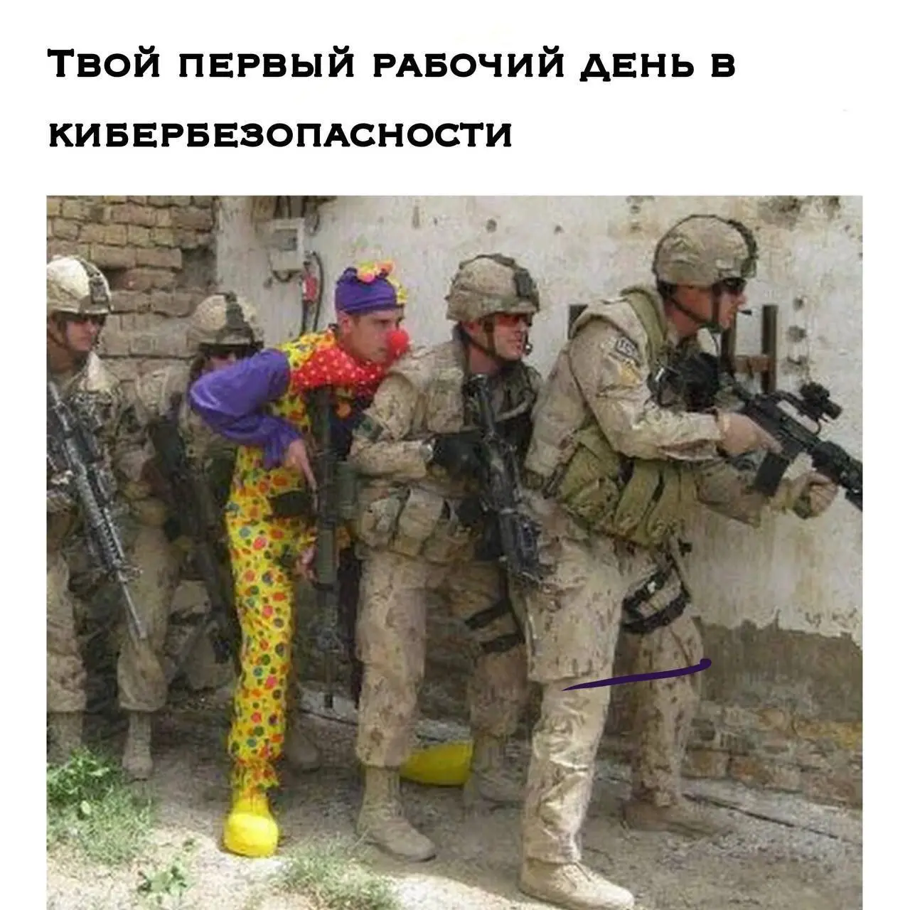 Когда после курсов сразу попал в red team | Сетка — социальная сеть от hh.ru