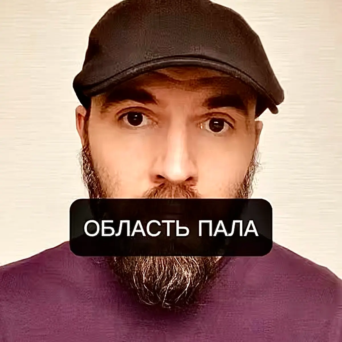 🎙️ | Сетка — социальная сеть от hh.ru