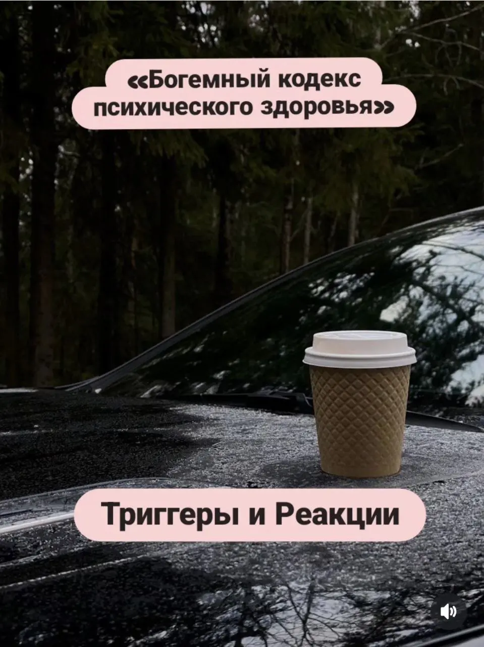 "ТРИГГЕРЫ И РЕАКЦИИ"
Мы не управляем событиями, но управляем своей реакцией на них. Это основа вашей личной свободы.
 Дорогие мои, вы не рабы своих эмоций. Вы их режиссёры | Сетка — социальная сеть от hh.ru